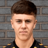 Lewys Twamley image