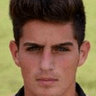 Luca Palmisano image