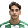 Ludovit Reis image