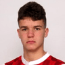 Luka Laban image