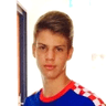 Luka Viduka image