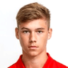 Lukas Malicsek image