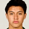 Marco Farfan image