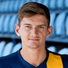 Matej Helebrand image