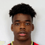 Nathan Ngoy image
