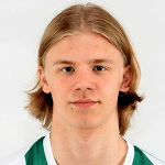 Photo of Никлас Лейнонен