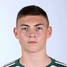 Nikola Čavlina image
