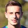 Nikola Stojković image