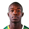 Nkosinathi Sibisi image