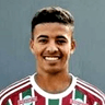 Paulinho Paula image