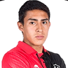 Pedro Ibañez image