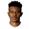 Eric Ramires image