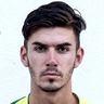Renato Gojković image