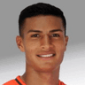 Rolando Diaz image