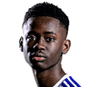 Samuel Anini Jr. image
