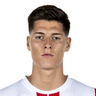 Sava Arangel Čestić image