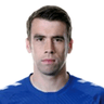 Séamus Coleman image