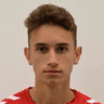 Stefan Mitrović image