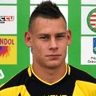 Tamás Csilus image