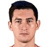 Taras Stepanenko image