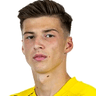 Tobias Raschl image