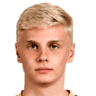 Viktor Aleksandrov image