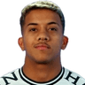 Vinicius Paiva image