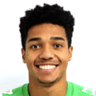 Vinicius Guedes image