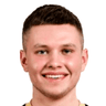 Vladimirs Stepanovs image