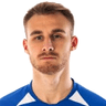 Vladislavs Sorokins image