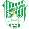 12 Bingölspor