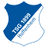 Хоффенхайм logo