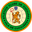 Home team logo