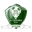 Home team logo