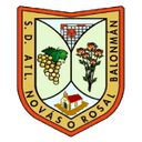Home Team logo