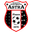 Home team logo