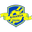 Home team logo