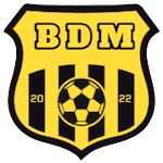 home team logo