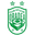 Home team logo