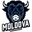 Home team logo