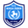 Home team logo