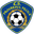 Home team logo