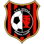 Acs Стикла Ариешул Турда logo
