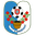 Home team logo