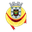 Home team logo