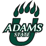 home team logo
