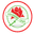 Home team logo