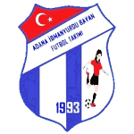 home team logo