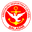Home team logo