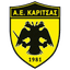 А.е.каритсас logo